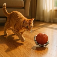 Interactive Cat Rolling Ball Toy Self-Moving Feather Battery