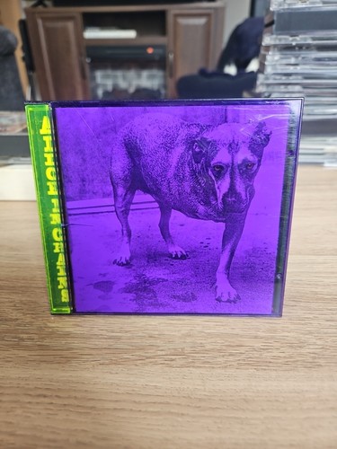 alice-in-chains-self-titled-cd-1995-rock-grunge-metal-album-purple