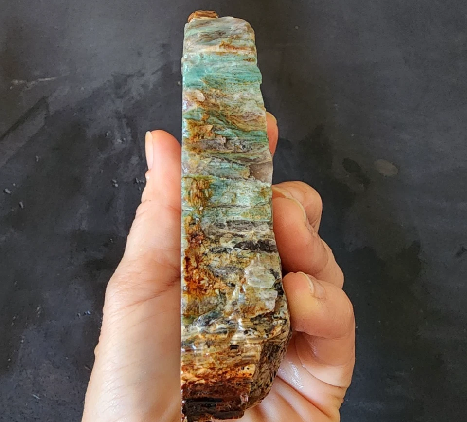 10.65 oz (302 gr) Colla Wood, Collawood, Opalized Petrified Wood, Opalized Wood - Image 4 of 4