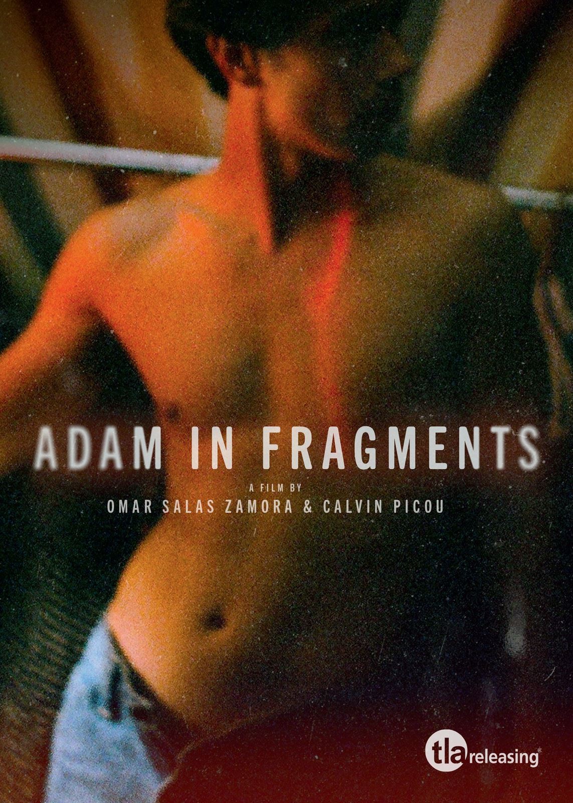 Adam in Fragments [15] DVD