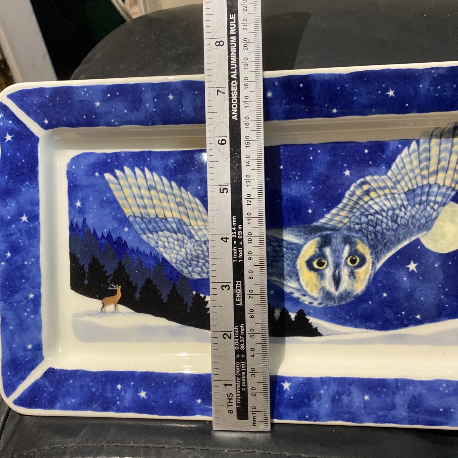 Emma Bridgewater Winter Animals at Night Winter Owl Medium Oblong Plate