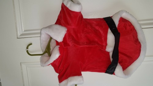 Pet Dog COSTUME Halloween Christmas Santa Coat Jacket Red Black Belt S/M 16" - Picture 2 of 2