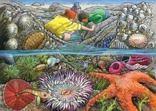 Cobble Hill Exploring the Seashore 35 Piece Jigsaw Puzzle