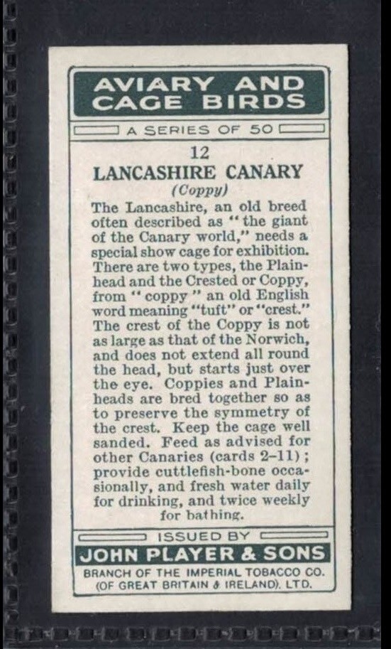 LANCASHIRE CANARY (COPPY) - 90 + year old English Tobacco Card # 12