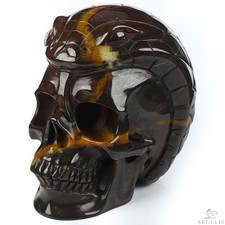 An Eatting Snake 5.1" Chinese Bloodstone Hand Carved Crystal Skull Sculpture