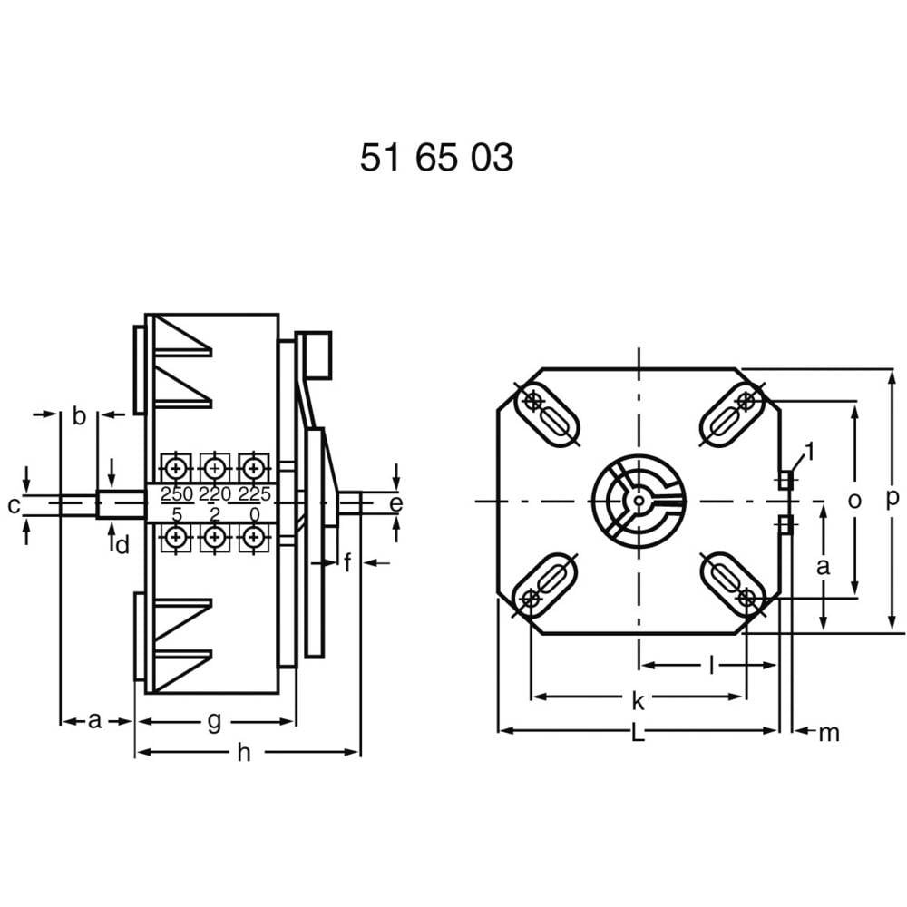 Transformateur variable Thalheimer ESS 110 à régulation linéaire et continue - 2