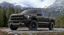 Touch Up Paint for Ford paint code DB, Shelte...