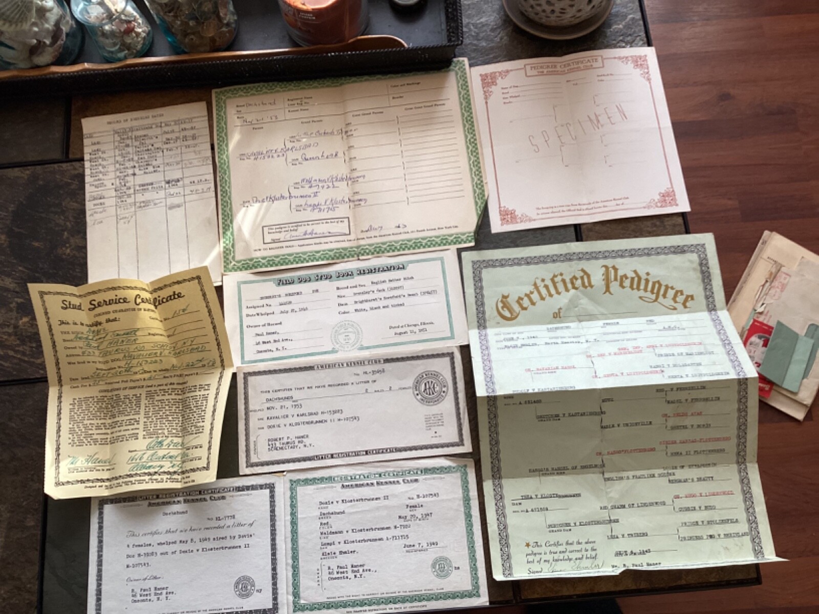 Lot of 1940s American Kennel Club Registration Certificates of Pedigree