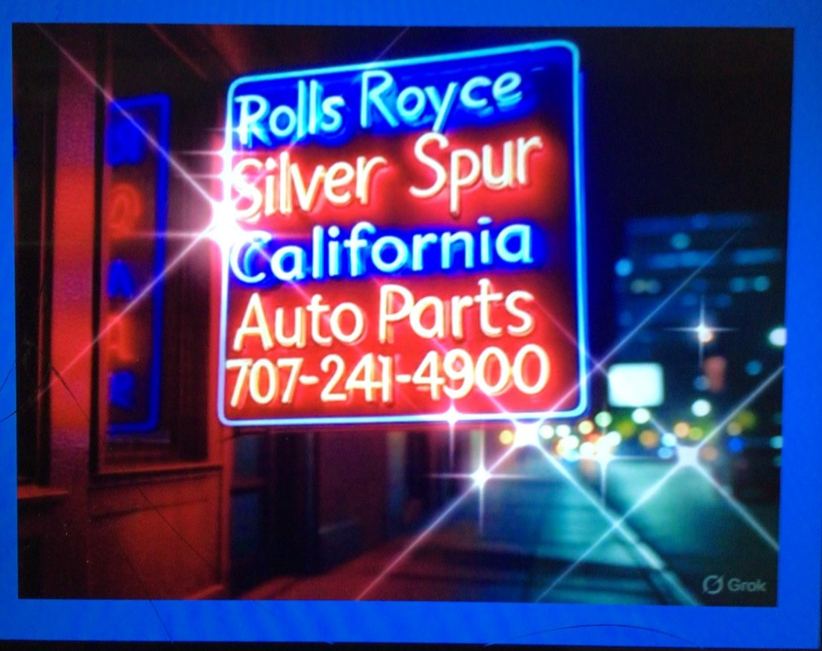 1980-2003 Rolls-Royce Silver Spur Right Chrome Rocker Panel Trim Molding R or L