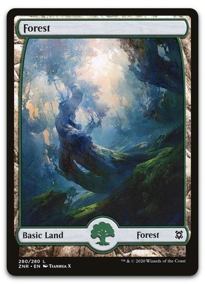 Forest (280) - Full Art #280 (NM) Zendikar Rising ZNR Magic MTG