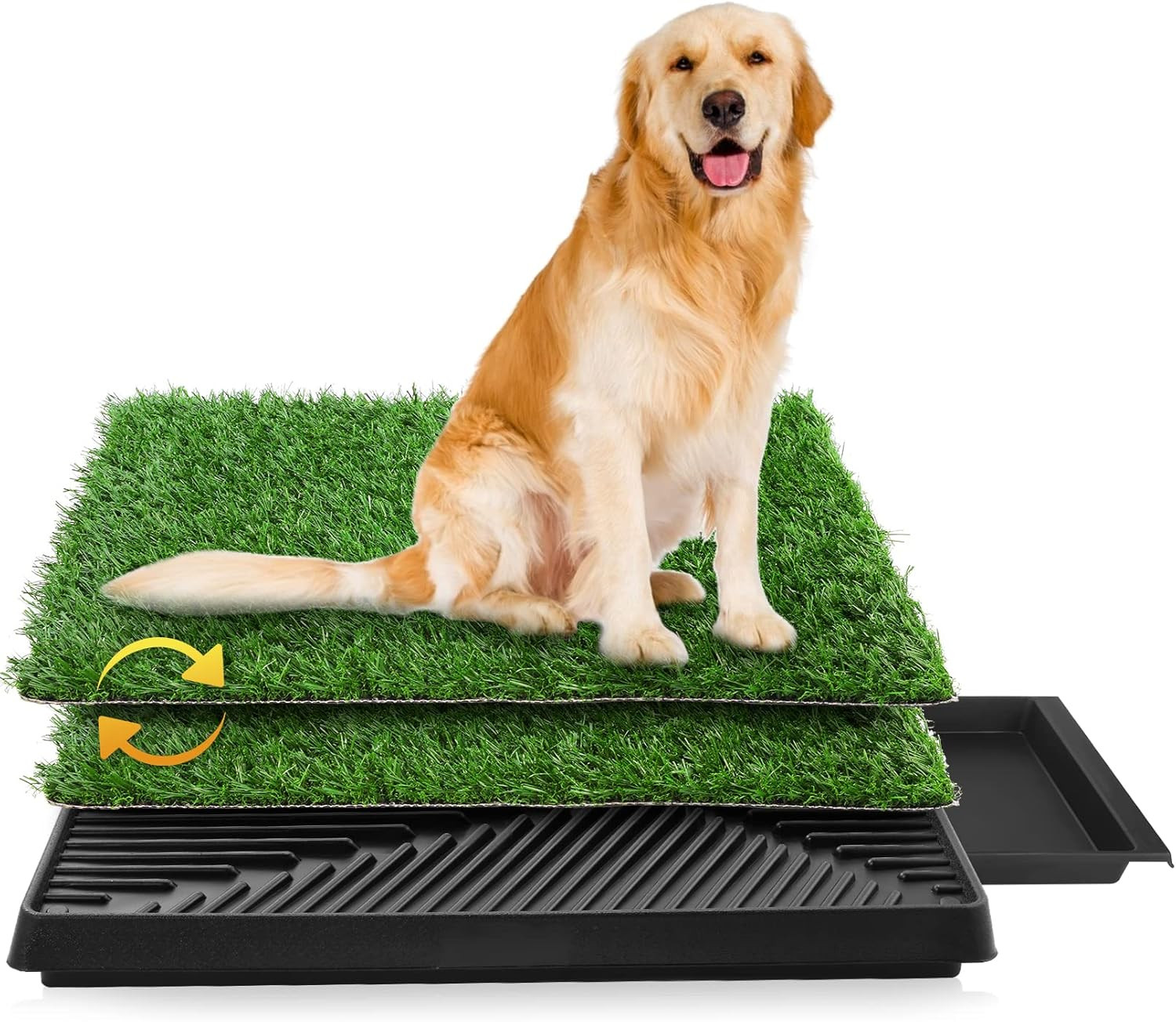 Lettiera Cani Erba Sintetica 63x50 cm - WC Interno per Cuccioli