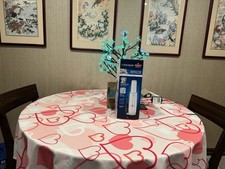 Bissell Turboslim Cordless Hand Vacuum