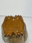 Picture 7 of 8
