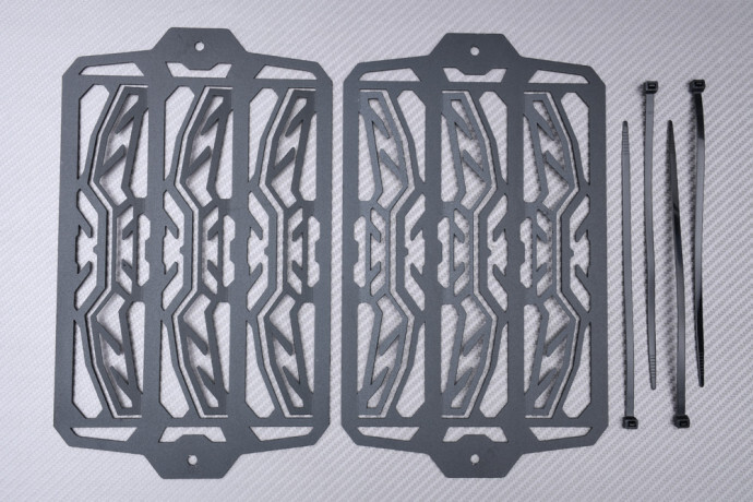 Grille de radiateur Tiger 900 GT protection moto aluminium noir pour Triumph 2020-2023