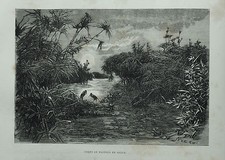 1877: PAPIRI IN SICILIA SR CT .L'Italie.J.GOURDAULT..
