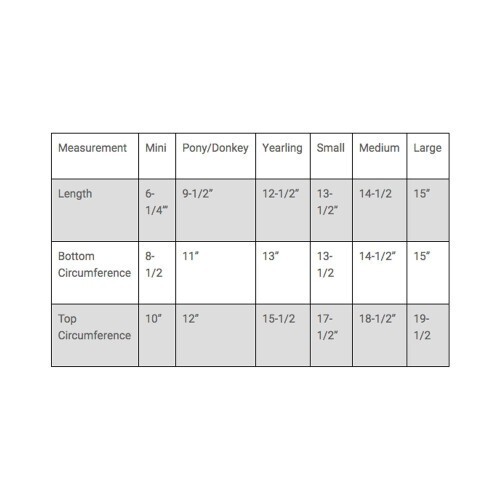 Shoofly Horse Leggins Horse Fly Boots eBay