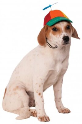 Propeller Hat Beanie Funny Cute Fancy Dress Pet Shop Halloween Dog Cat Costume