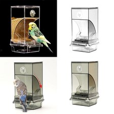Distributeur Automatique de Nourriture pour Perroquets - Solution Pratique et