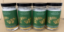 Bath Body Works Aromatherapy Eucalyptus Spearmint Shower Steamers 4.8oz MULTI PK