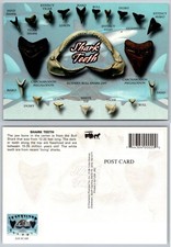 Cartolina Denti di Squalo Megalodonte Toro Tigre Mako Biologia Marina Scienza Fossile