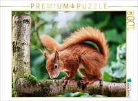 Calvendo Puzzle Mischievous Squirrel | 1000 Pieces, Finished Size 25.2 × 18.9 In