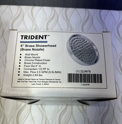 TRIDENT Showerhead 6 Inch Chrome Plated 22JN78 Brass Nozzle