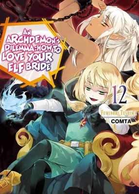 An Archdemon's Dilemma: How to Love Your Elf Bride: Volume 12 (Light Novel) by F