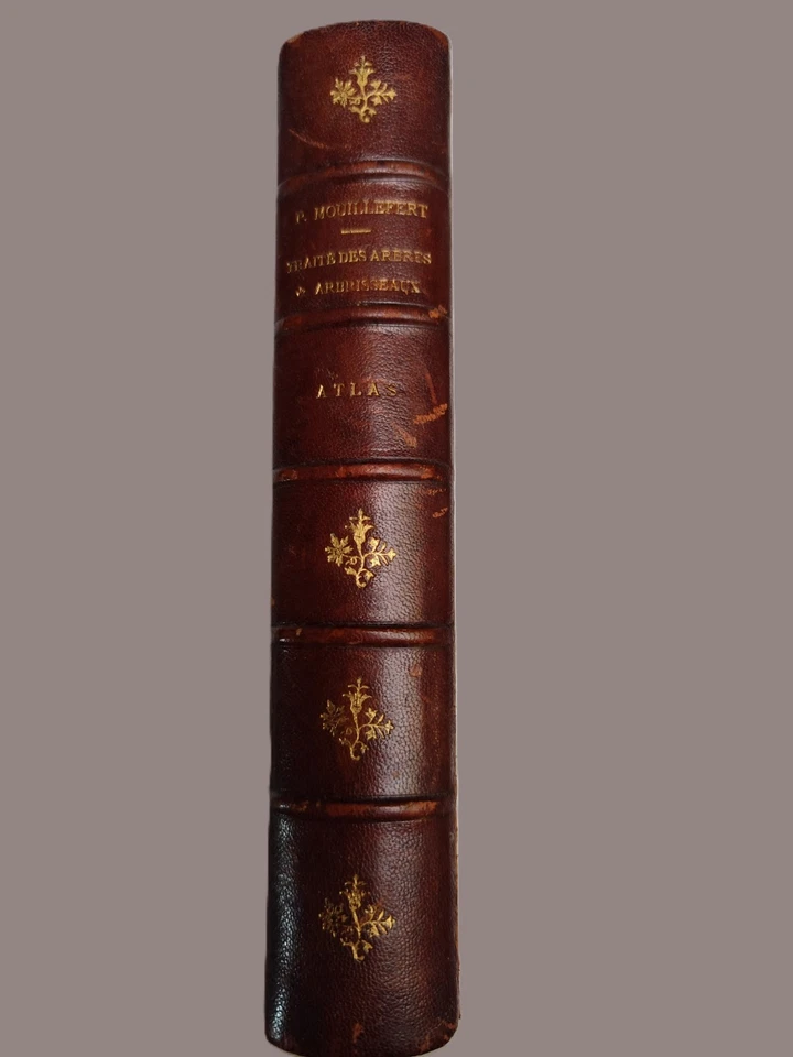 livre ancien/P.Mouillefert /Traîté des arbres et arbrissaux/Atlas - Photo 2/4