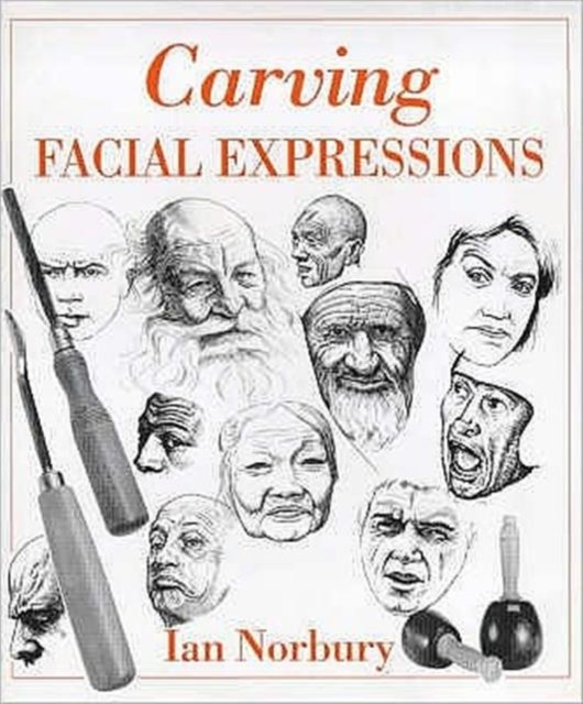 Carving Facial Expressions by Ian Norbury (Hardback Book)