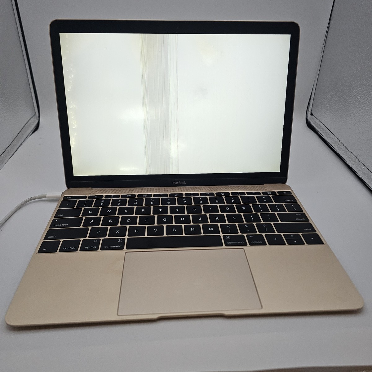 2015/MacBook 12インチ/M1.1GHz/8GB/256GB 2015 Apple MacBook 12