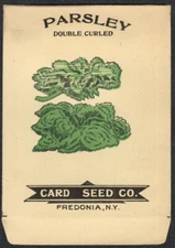 Vintage Seed Packet Empty Fredonia New York NY 1900's Vegetable Herbs Parsley