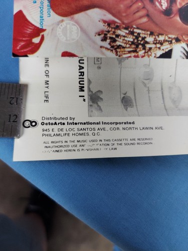 The Woman in Red Stevie Wonder Soundtrack Kassette Philippinen Kopie - Bild 7 von 7