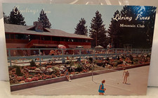 CALIFORNIA,-LURING PINES MOUNTAIN CLUB Vintage Postcard