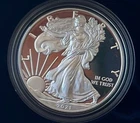 2021 W  Type 1 Proof Silver Eagle COA and Box