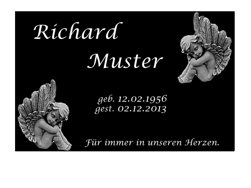Bild 10 von 12