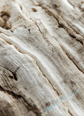 Foto A4 Kunst Skandinavisch Beige Natur Poster Kunstdruck Wand Art Deco 7809