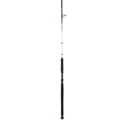 Penn Squadron II Tolling CF 2,42m 50-160g Bootsrute Meeresrute