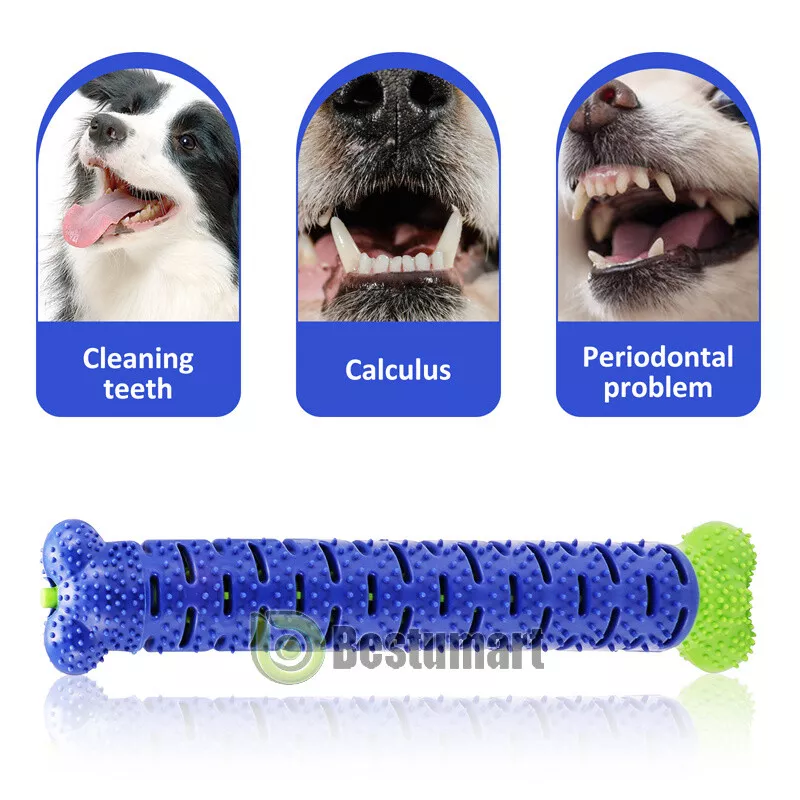 Tooth brushing shop toy for dogs