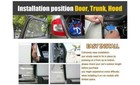 Bild 12 von 13