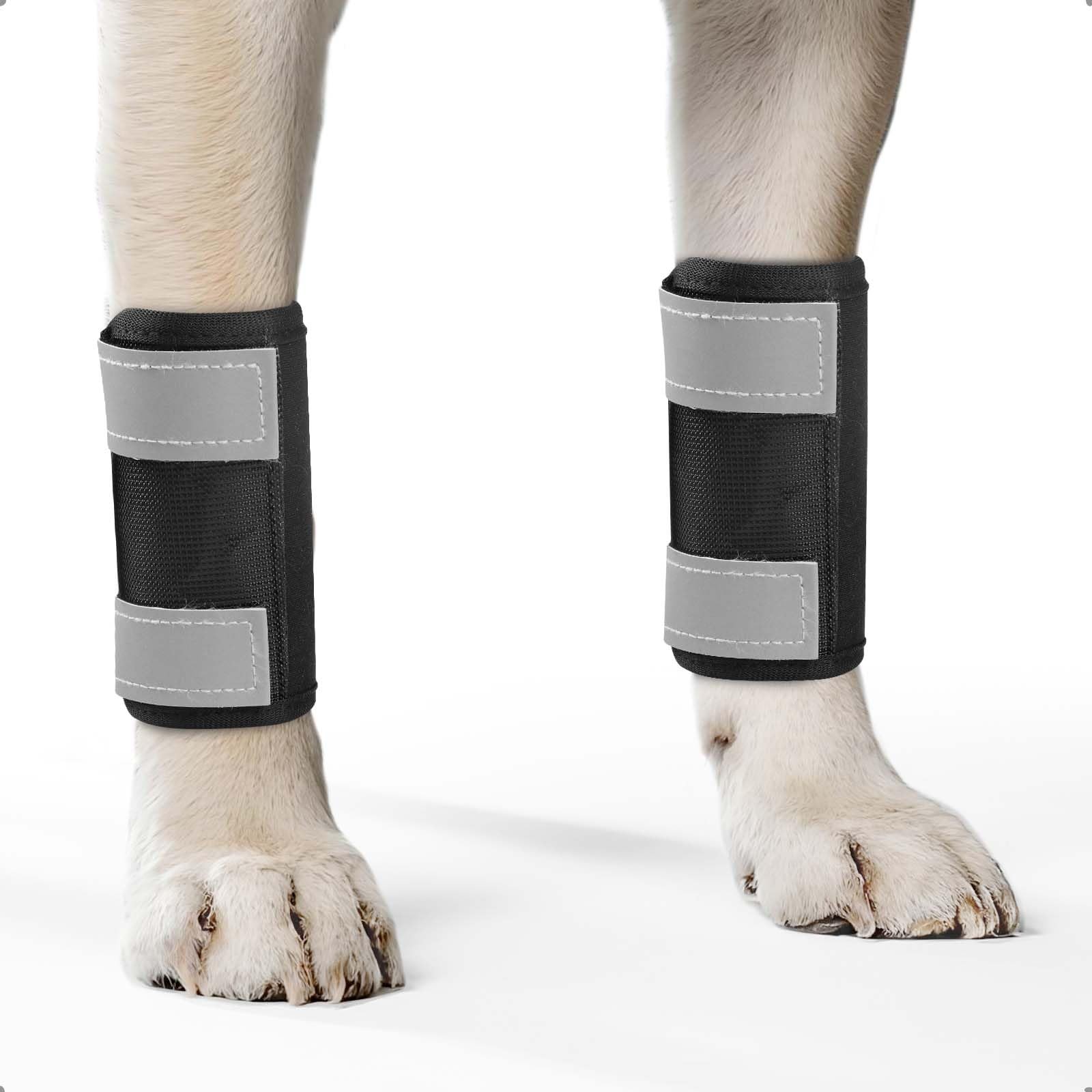 OHCOZZY Ginocchiera per Cani 2 Pezzi: Supporto Articolare con Riflettenti