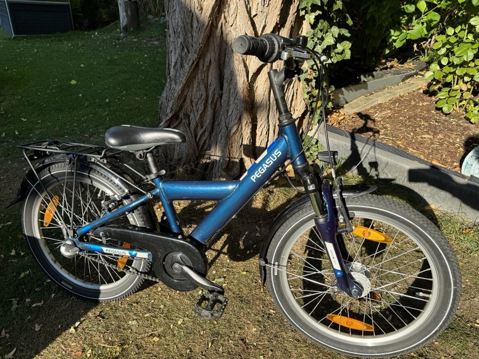 Pegasus Avanti Fahrrad Kinder, 20 Zoll, 3-Gang Schaltung