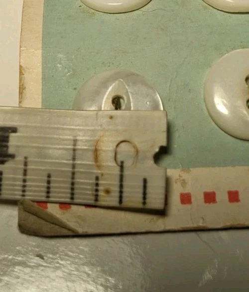 Vintage 5 Shell Pearl Buttons - Image 4 of 4