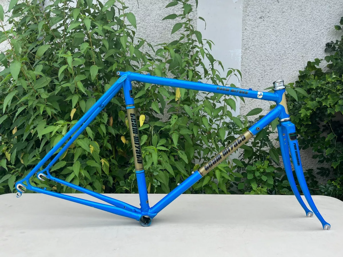 Miyata bike store frame