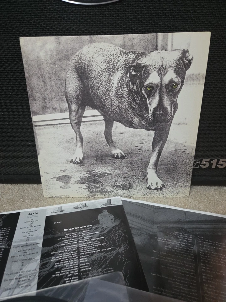 Alice In Chains одноименный винил 2 пластинки оригинальный 1995 1-й выпуск со вставками почти как новый/почти как новый - РЕДКИЙ - Изображение 2 из 4