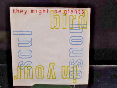 THEY MIGHT BE GIANTS'' BIRD HOUSE IN YOUR SOUL  '' EX+ COND. IN Or. SL.
