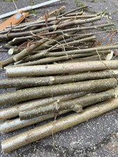 Ca. 2 KG Knabberholz Haselnuss Zweige, Äste Nager, Pferde, Bio Qualität 