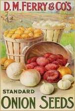 D.M. Ferry & Co's Standard Onion Seeds NEW Sign 16 x 24" USA STEEL