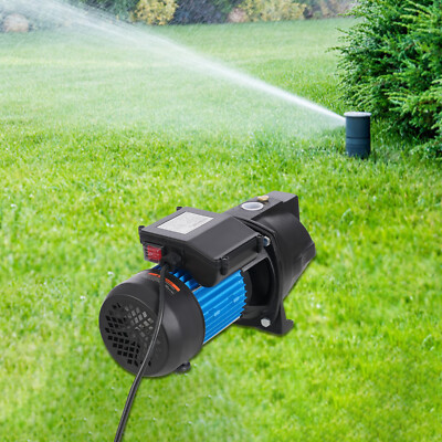1.6HP Shallow Well Jet Pump, Cast Iron Irrigation Pump for Home Farm Garden Lawn