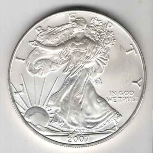 2007 WALKING LIBERTY AMERICAN EAGLE .999 FINE SILVER DOLLAR COIN 1oz. $1 USA