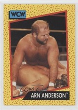 1991 Impel WCW Arn Anderson #52 02v3
